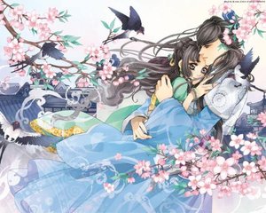 桃花源聚合小黄人